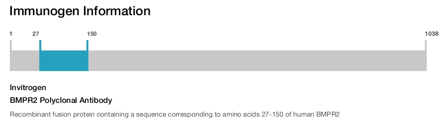 BMPR2 Polyclonal Antibody
