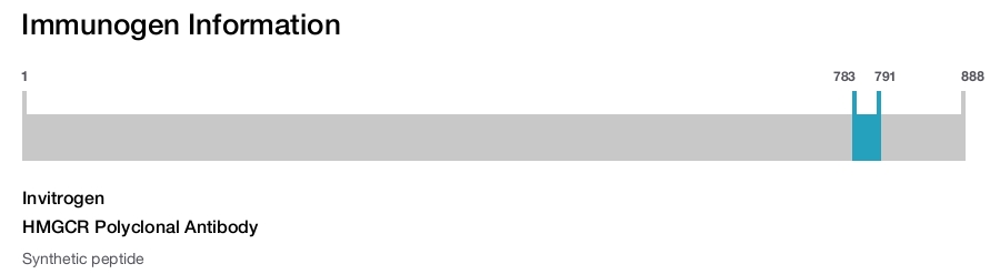 HMGCR Polyclonal Antibody