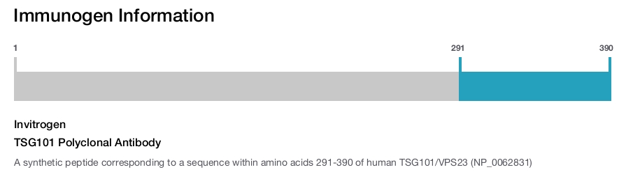TSG101 Polyclonal Antibody