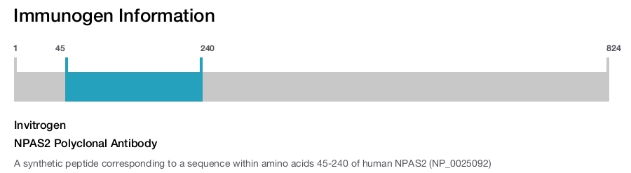 NPAS2 Polyclonal Antibody