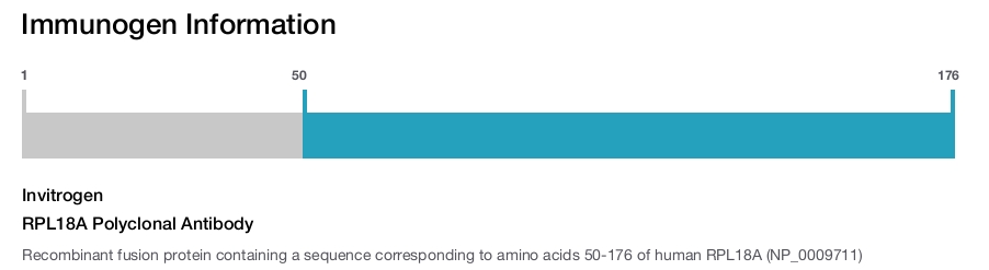 RPL18A Polyclonal Antibody