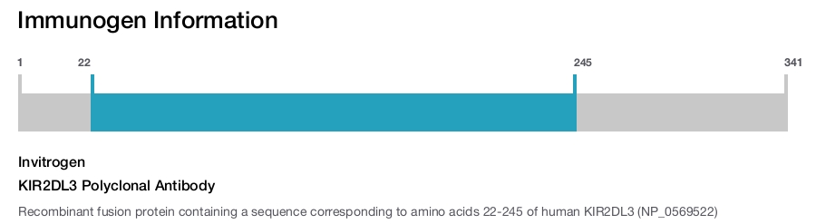 KIR2DL3 Polyclonal Antibody