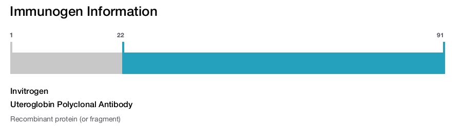 Uteroglobin Polyclonal Antibody