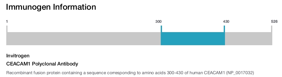CEACAM1 Polyclonal Antibody