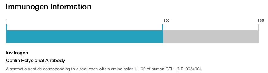 Cofilin Polyclonal Antibody