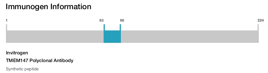 TMEM147 Polyclonal Antibody