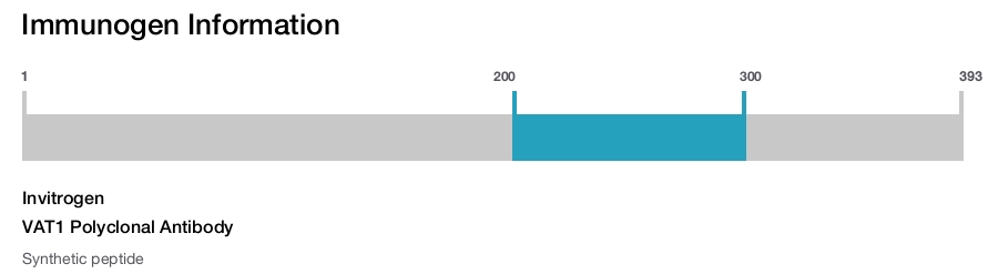VAT1 Polyclonal Antibody