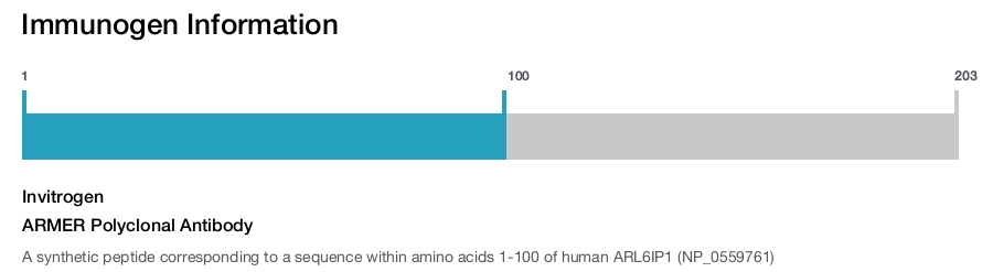 ARMER Polyclonal Antibody