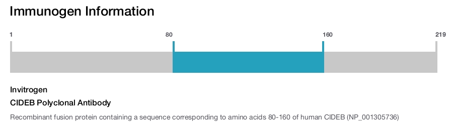 CIDEB Polyclonal Antibody