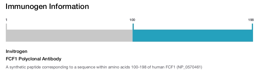 FCF1 Polyclonal Antibody