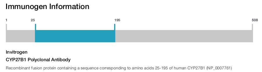 CYP27B1 Polyclonal Antibody