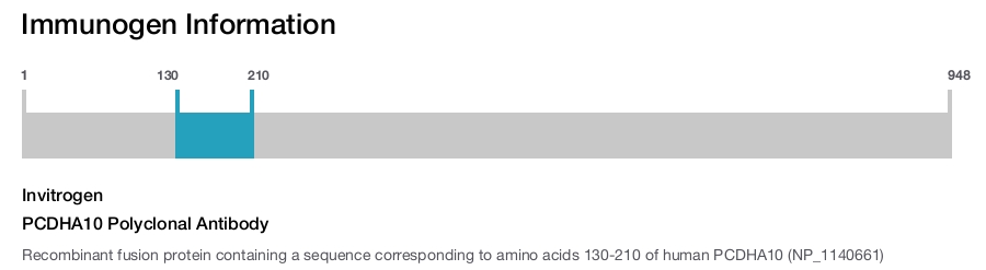 PCDHA10 Polyclonal Antibody