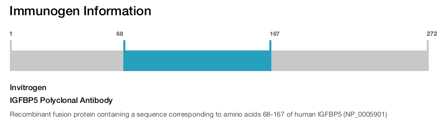 IGFBP5 Polyclonal Antibody