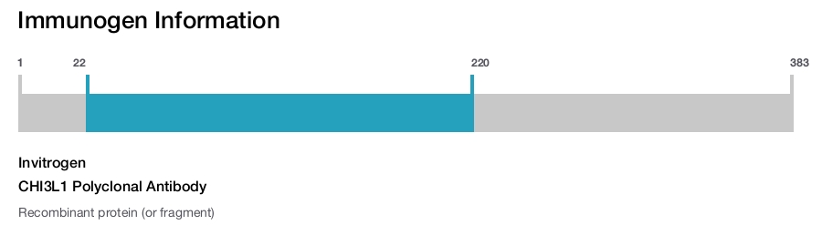 CHI3L1 Polyclonal Antibody