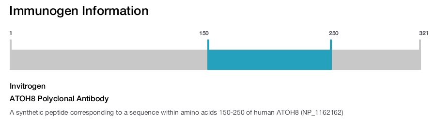 ATOH8 Polyclonal Antibody