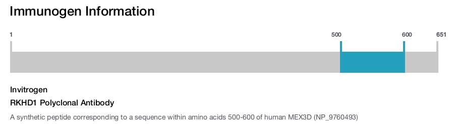 RKHD1 Polyclonal Antibody