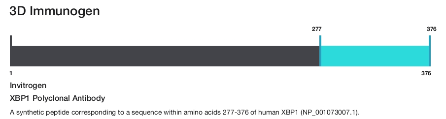 XBP1 Polyclonal Antibody