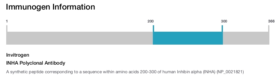 INHA Polyclonal Antibody