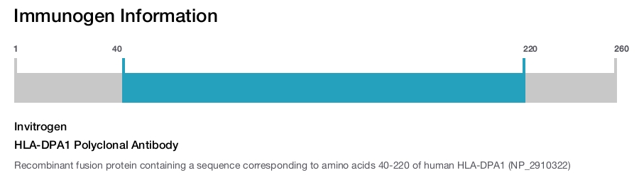 HLA-DPA1 Polyclonal Antibody