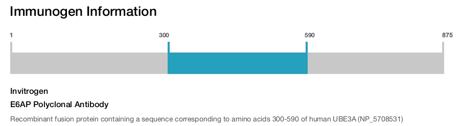 E6AP Polyclonal Antibody