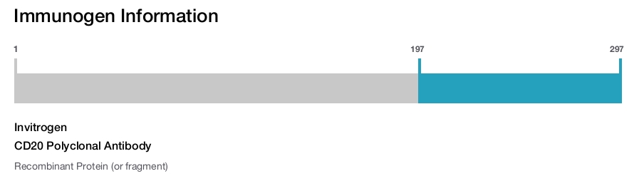 CD20 Polyclonal Antibody