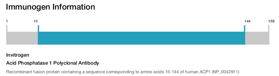 Acid Phosphatase 1 Polyclonal Antibody