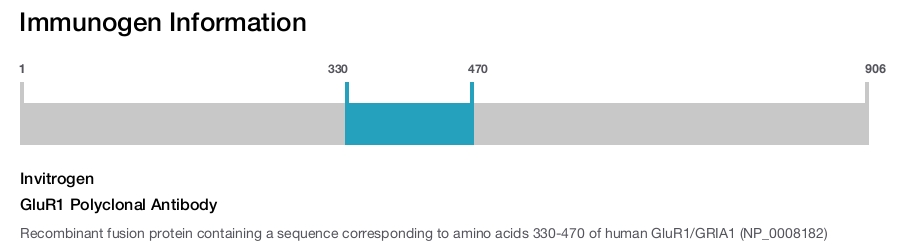 GluR1 Polyclonal Antibody