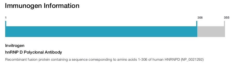 hnRNP D Polyclonal Antibody
