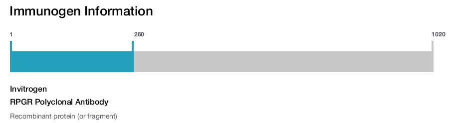 RPGR Polyclonal Antibody