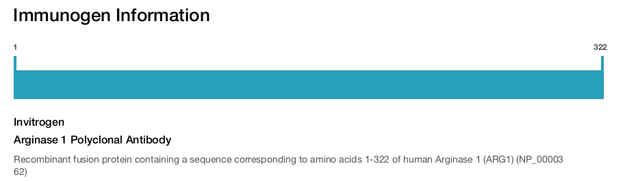 Arginase 1 Polyclonal Antibody
