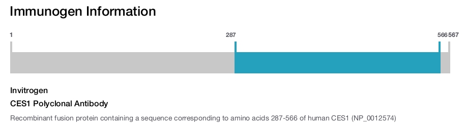 CES1 Polyclonal Antibody