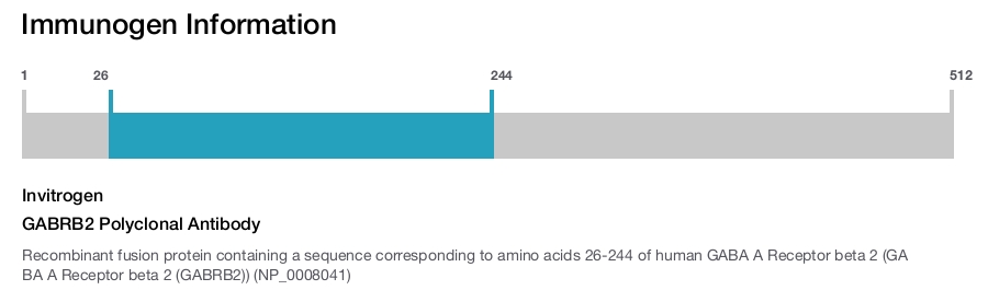 GABRB2 Polyclonal Antibody