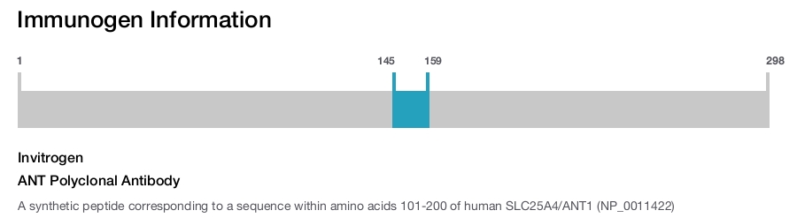 ANT Polyclonal Antibody