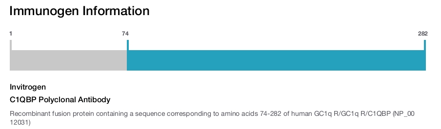 C1QBP Polyclonal Antibody