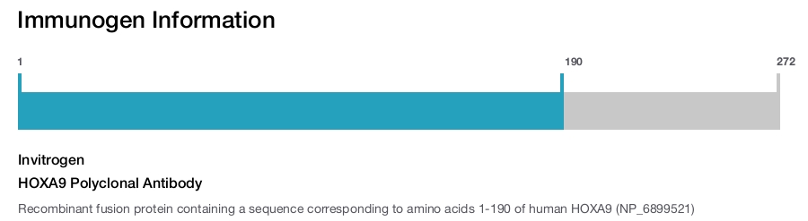 HOXA9 Polyclonal Antibody