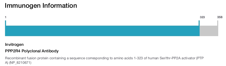 PPP2R4 Polyclonal Antibody