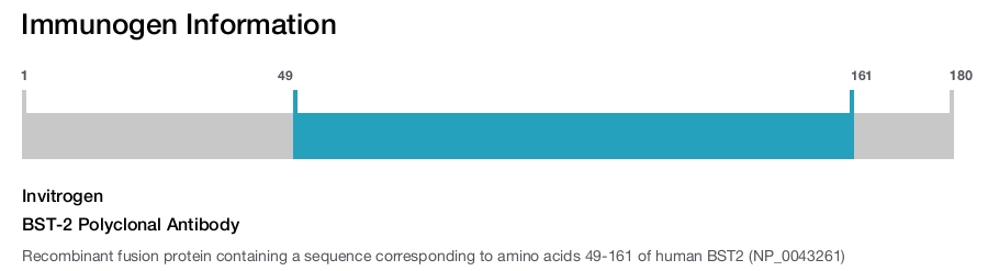 BST-2 Polyclonal Antibody