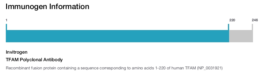TFAM Polyclonal Antibody