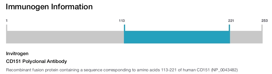 CD151 Polyclonal Antibody