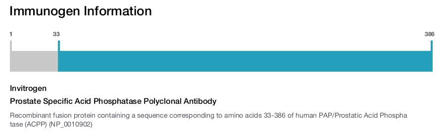 Prostate Specific Acid Phosphatase Polyclonal Antibody