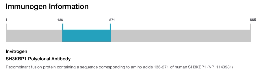 SH3KBP1 Polyclonal Antibody