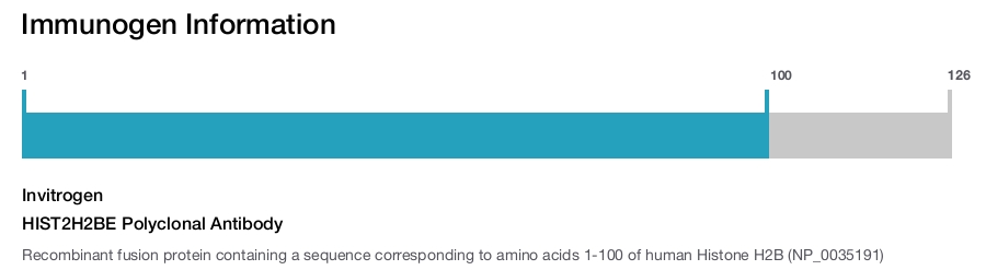 HIST2H2BE Polyclonal Antibody