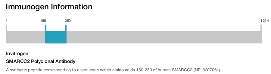 SMARCC2 Polyclonal Antibody