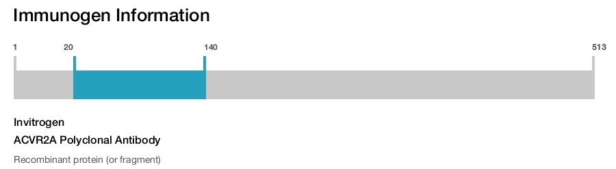 ACVR2A Polyclonal Antibody