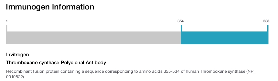 Thromboxane synthase Polyclonal Antibody