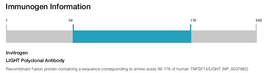 LIGHT Polyclonal Antibody