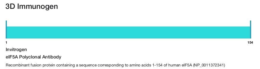 eIF5A Polyclonal Antibody
