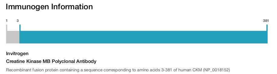 Creatine Kinase MB Polyclonal Antibody