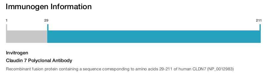 Claudin 7 Polyclonal Antibody