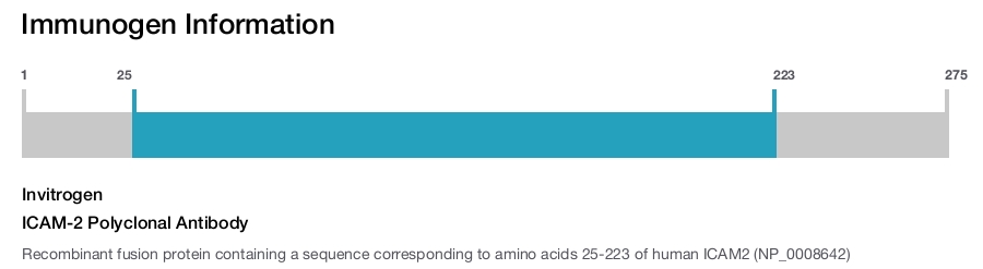 ICAM-2 Polyclonal Antibody
